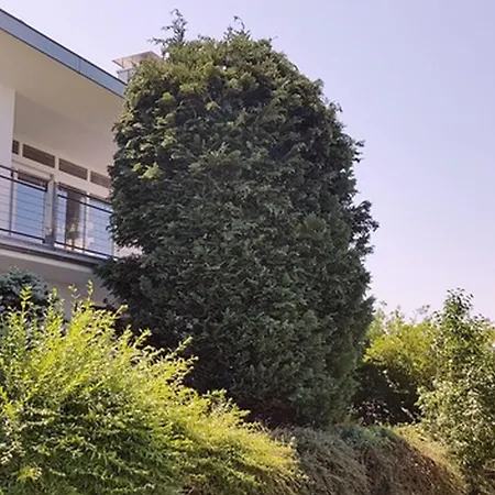 Die Ferienwohnung * 바드벨링겐