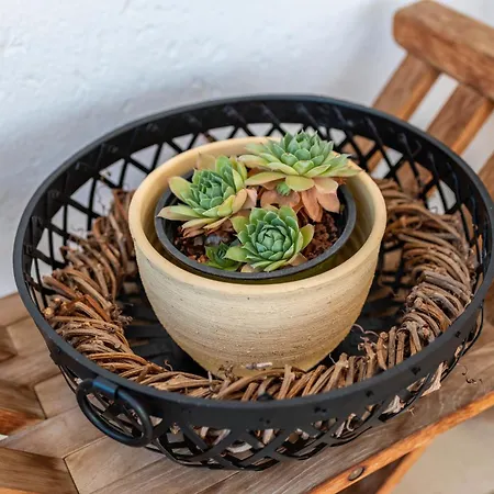 Die Ferienwohnung Apartamento Bad Bellingen