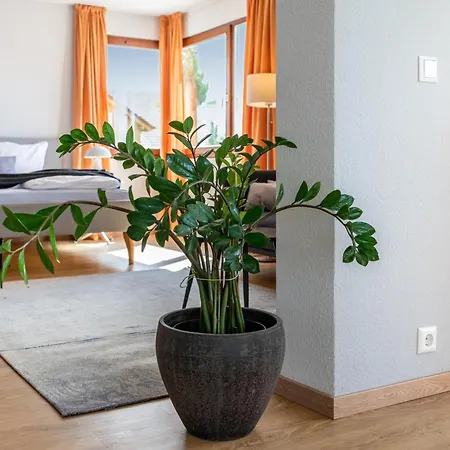 Apartamento Die Ferienwohnung